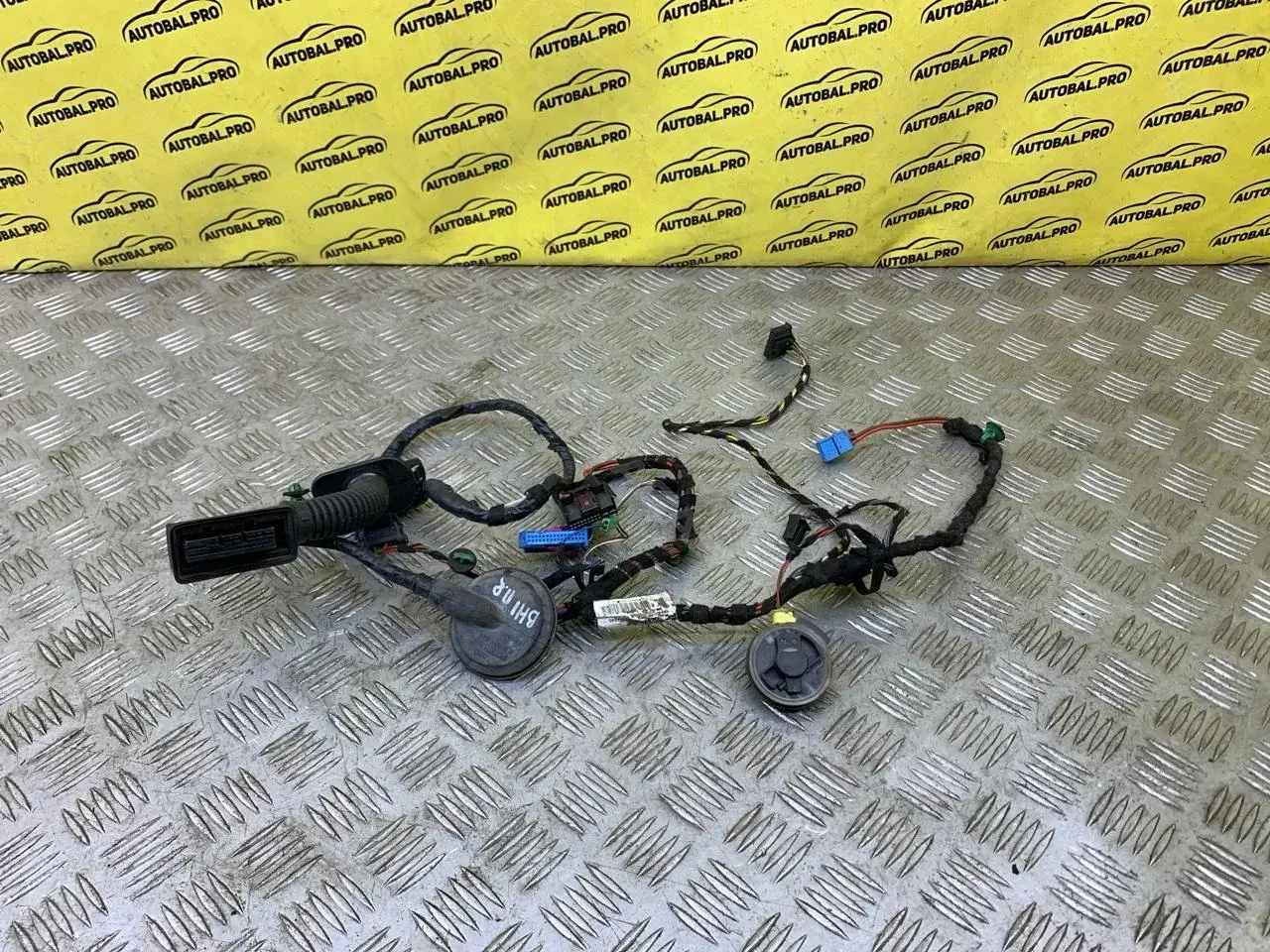 Проводка двери 5G49711210T