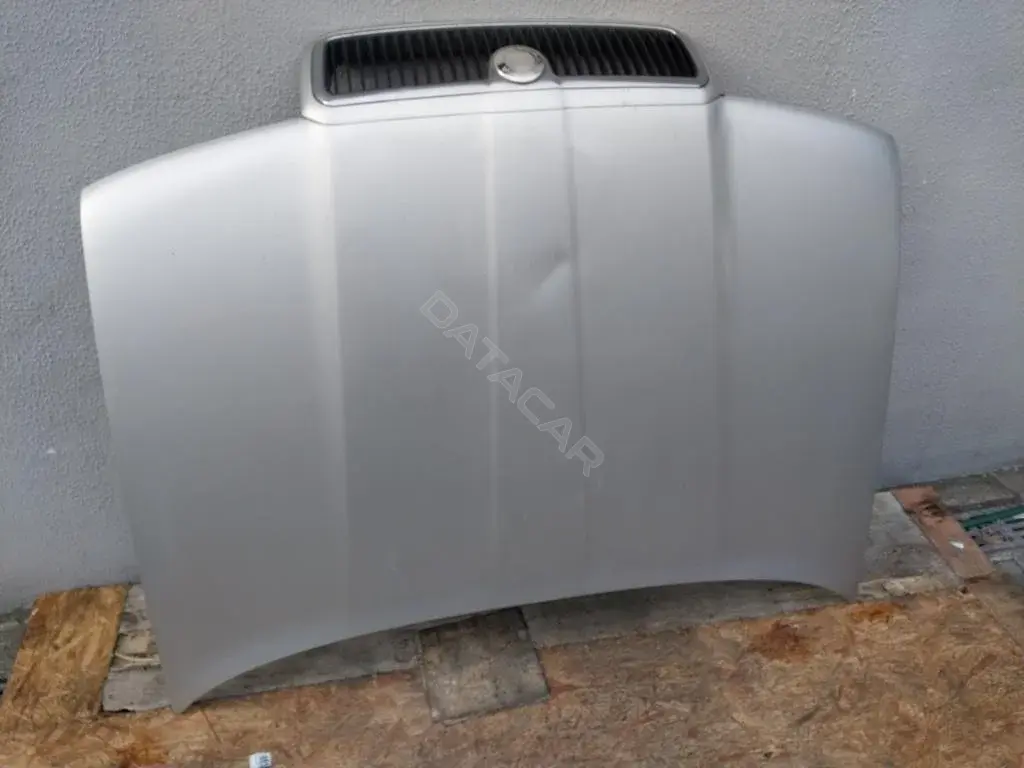Капот Kap8916g0