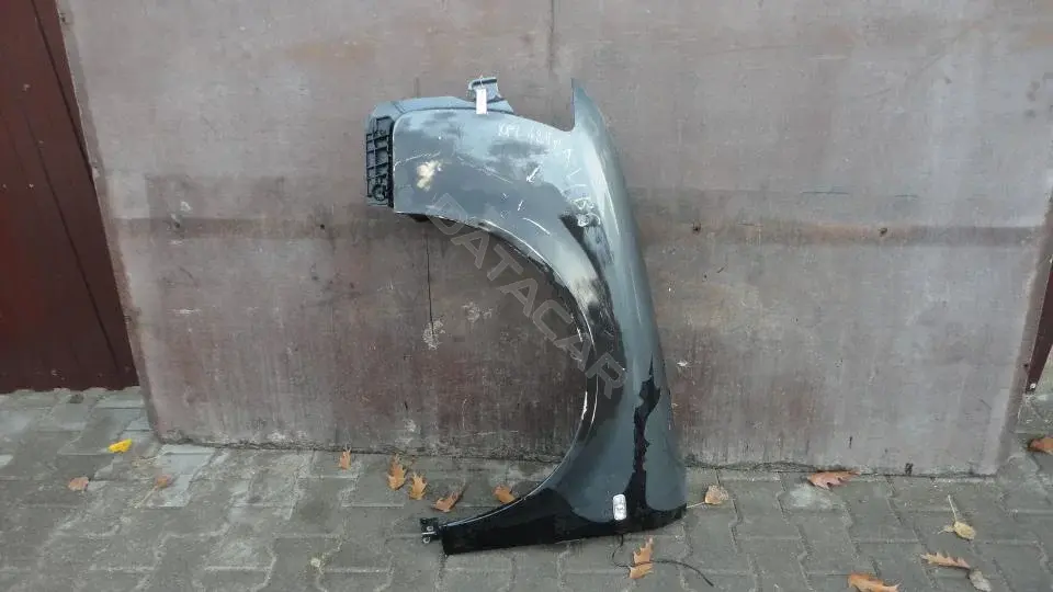 Крыло переднее Kpl424g0