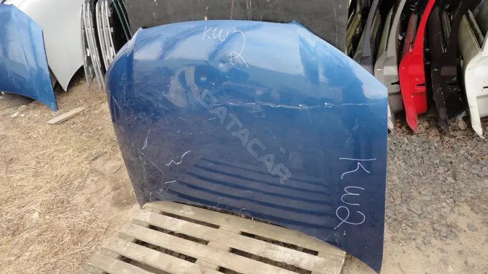 Капот Kap8210g0