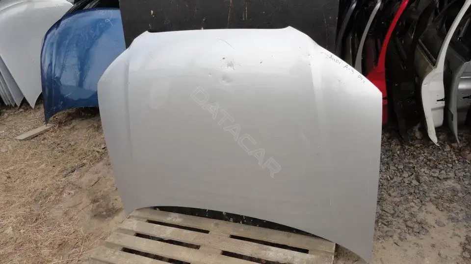 Капот Kap8209g0