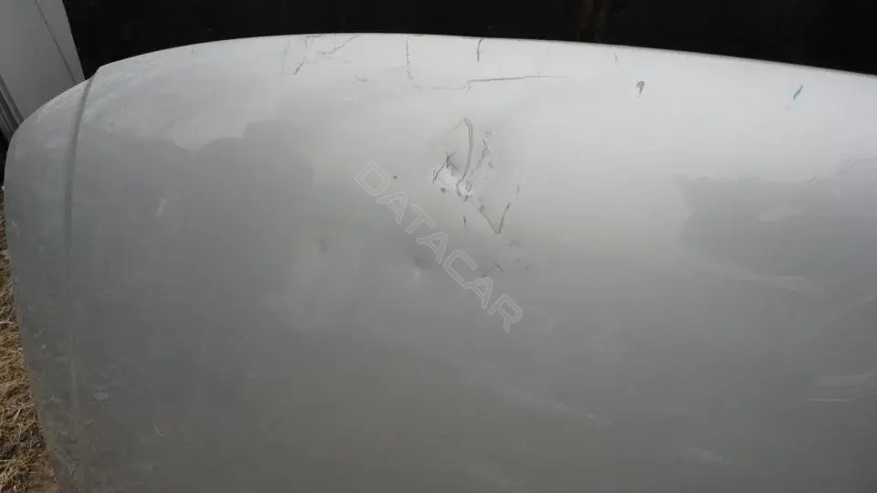 Капот Kap8198g0