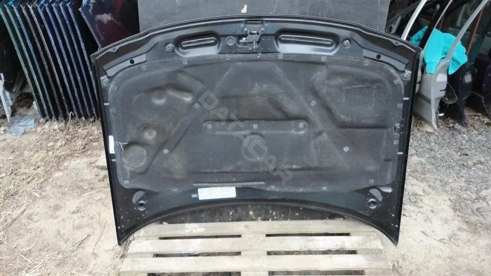 Капот Kap8195g0