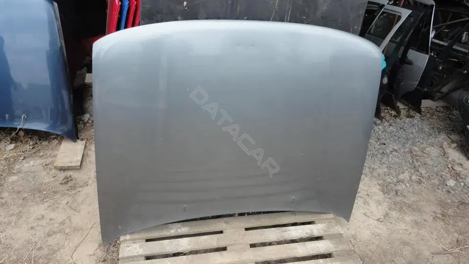 Капот Kap8191g0