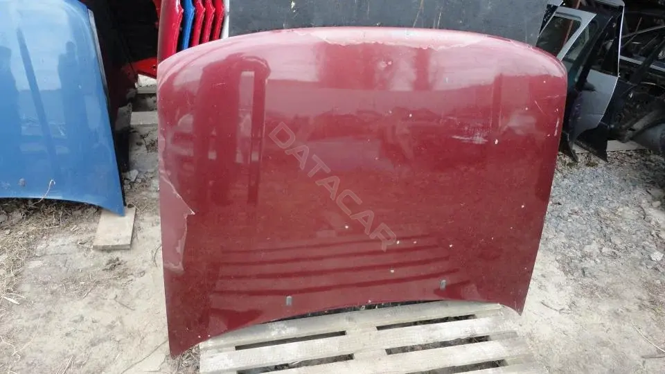 Капот Kap8189g0