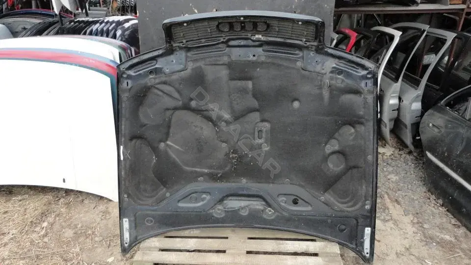Капот Kap8169g0