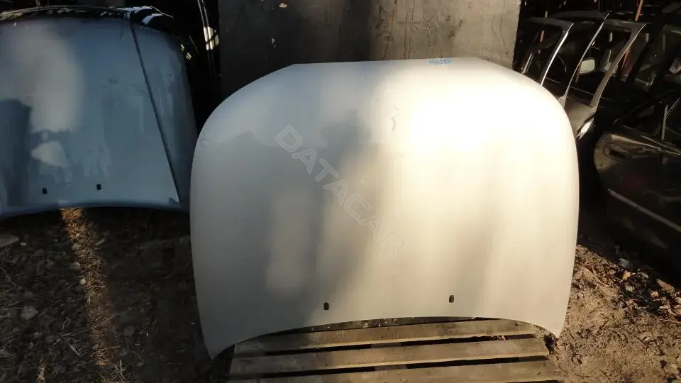 Капот Kap8157g0