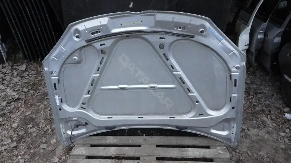 Капот Kap8141g0