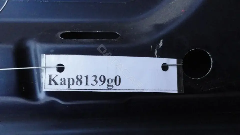 Капот Kap8139g0