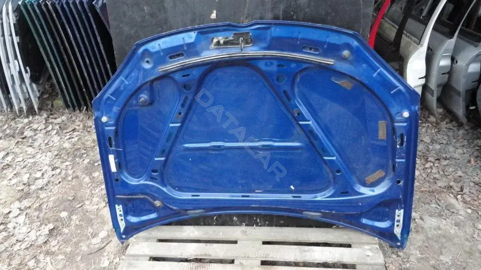 Капот Kap8137g0