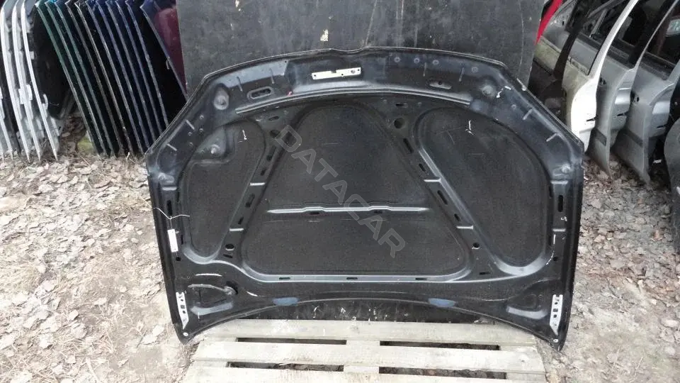 Капот Kap8133g0