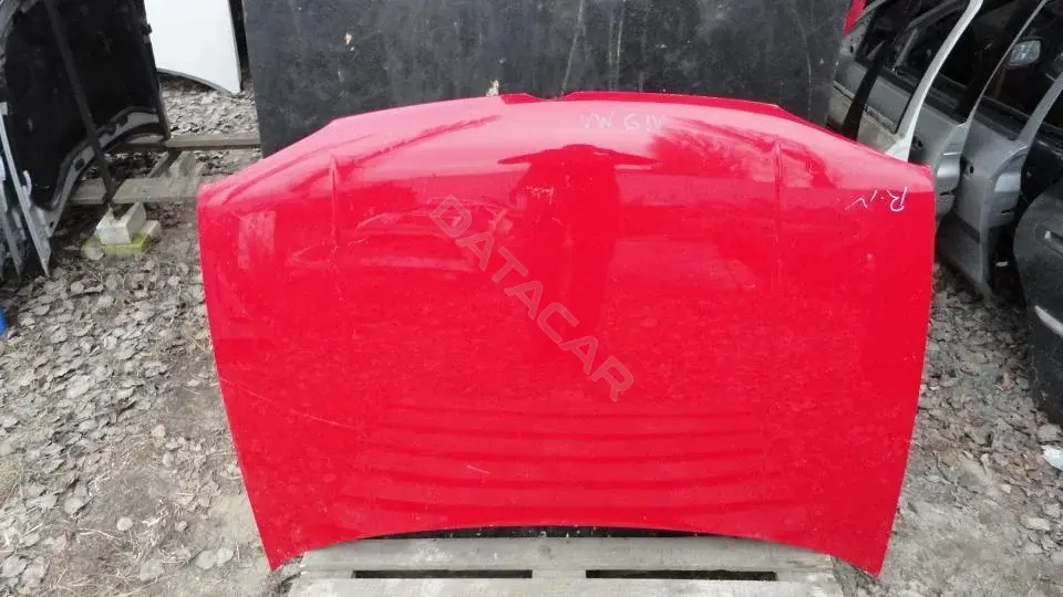 Капот Kap8119g0