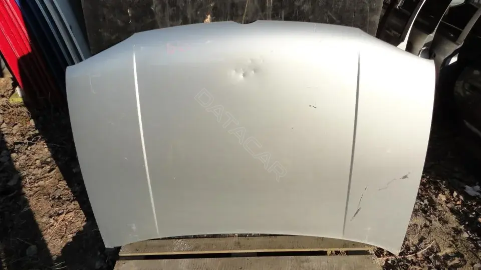 Капот Kap8096g0