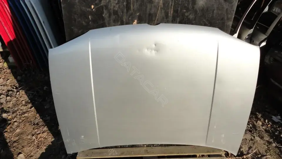 Капот Kap8095g0