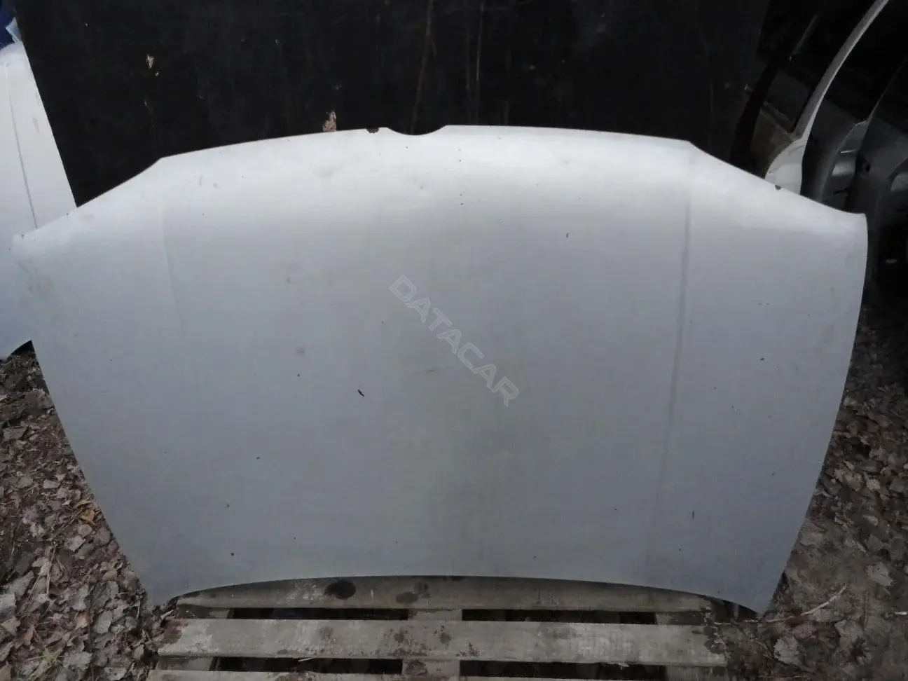 Капот Kap8090g0