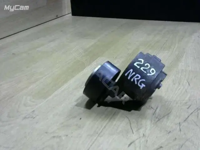 Натяжитель ремня генератора 229NRG