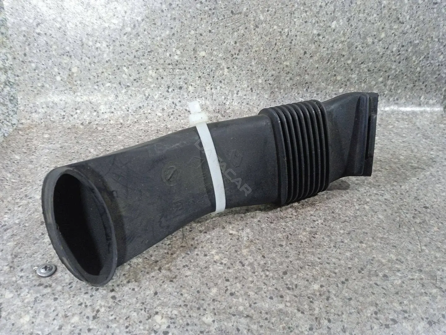 Воздуховод 244930005R, T06009A183