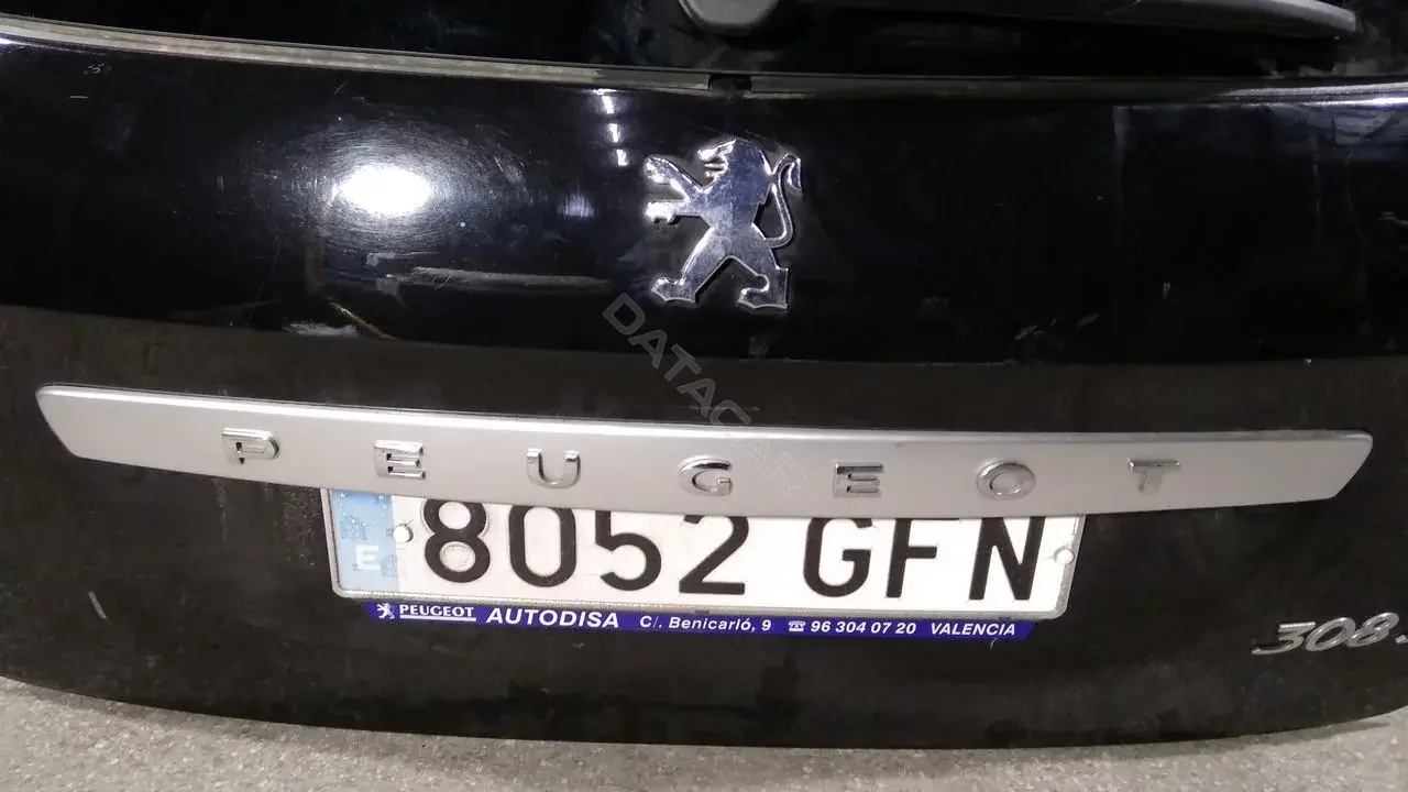 Фонарь подсветки номерного знака 30031027001
