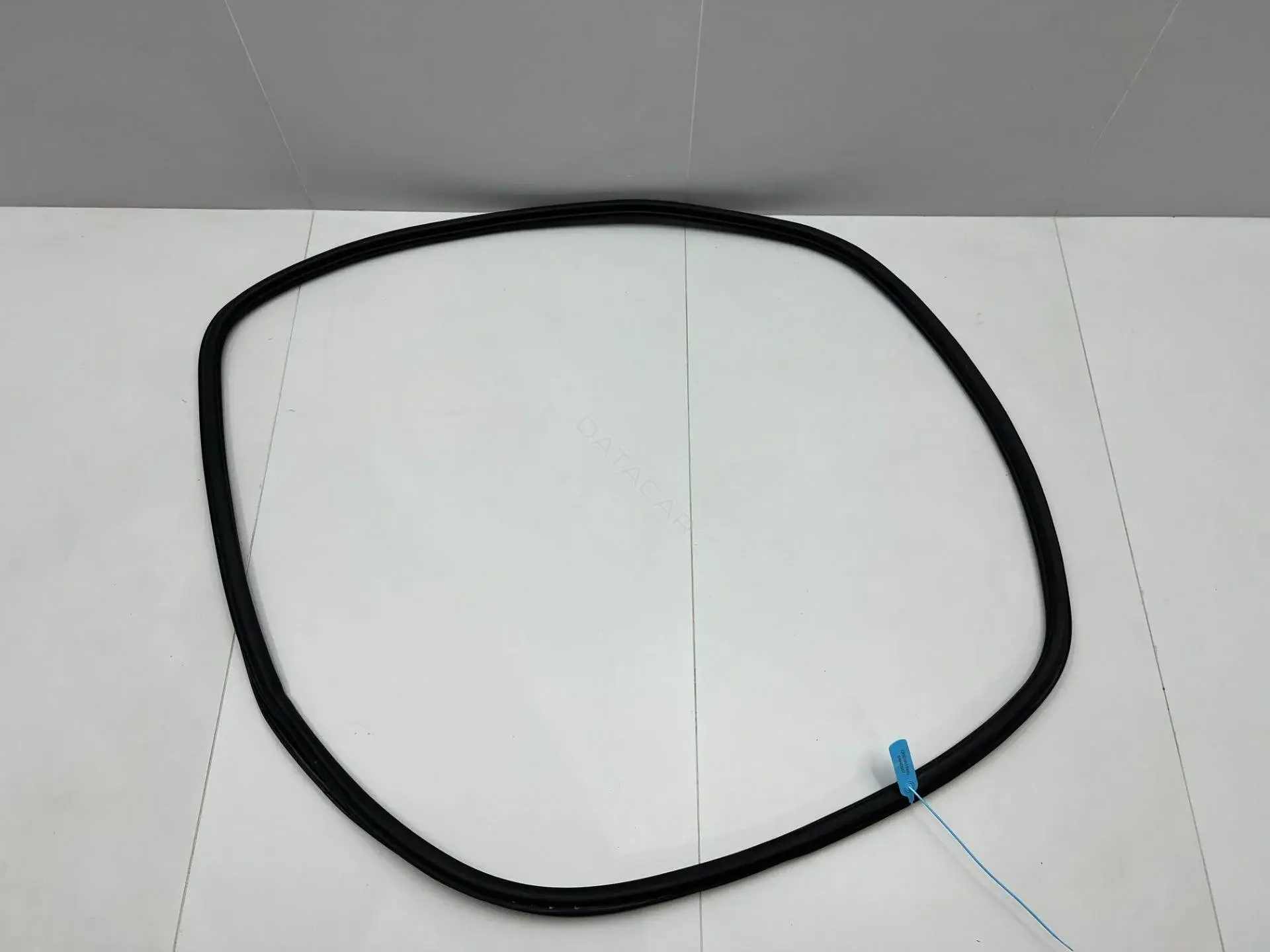 Уплотнитель двери 2GJ867366G